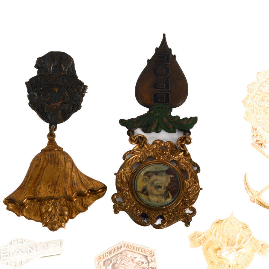 Antique Grouping of Eleven BPOE Collectible Elks Lodge Pins-5