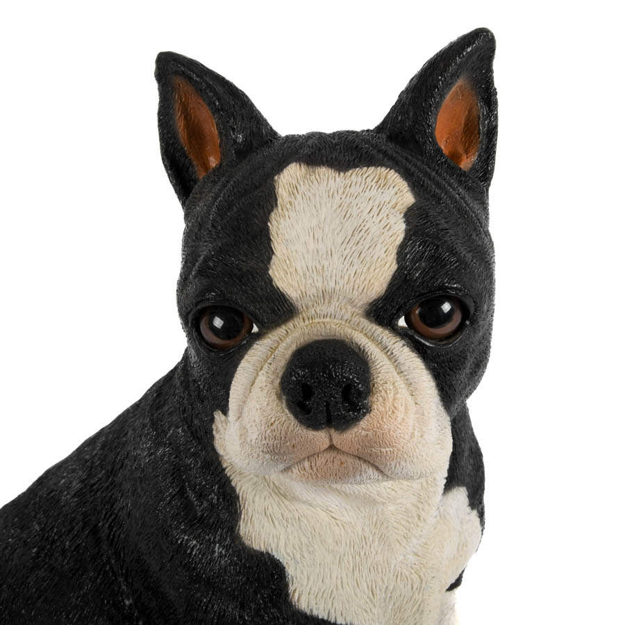 Mid-Century Modern Chalkware Boston Terrier Dog Sculpture Bank-11
