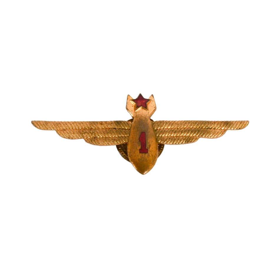 Nine Soviet Union Brass and Enamel Navigator, Wings, and College Badges-4