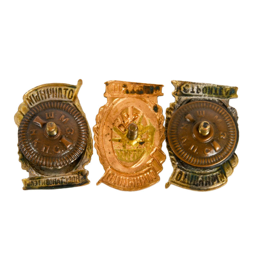 Grouping of Three Soviet Union Brass and Enamel Service Pins-6