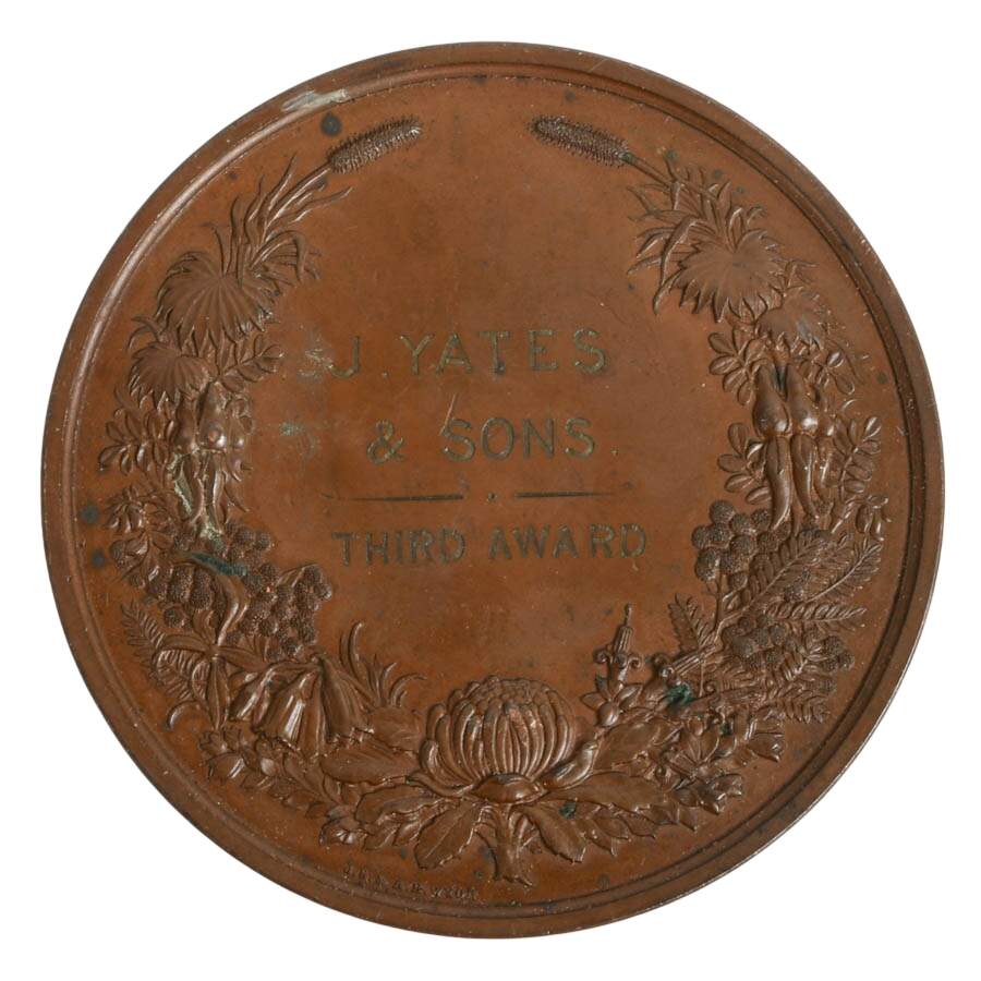 1879 Sydney International Exhibition Medal Designed by J.S. & A.B. Wyon-2