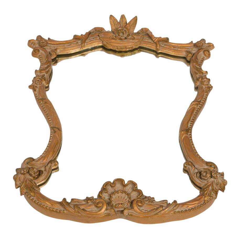 Ornate Gold Wall Mirror with Nature-Inspired Motifs-1