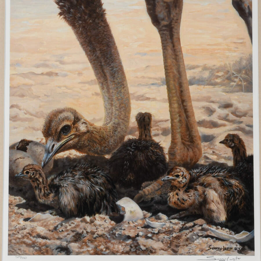 Framed Lithograph Titled "Hatchlings" by John S. Lester-2