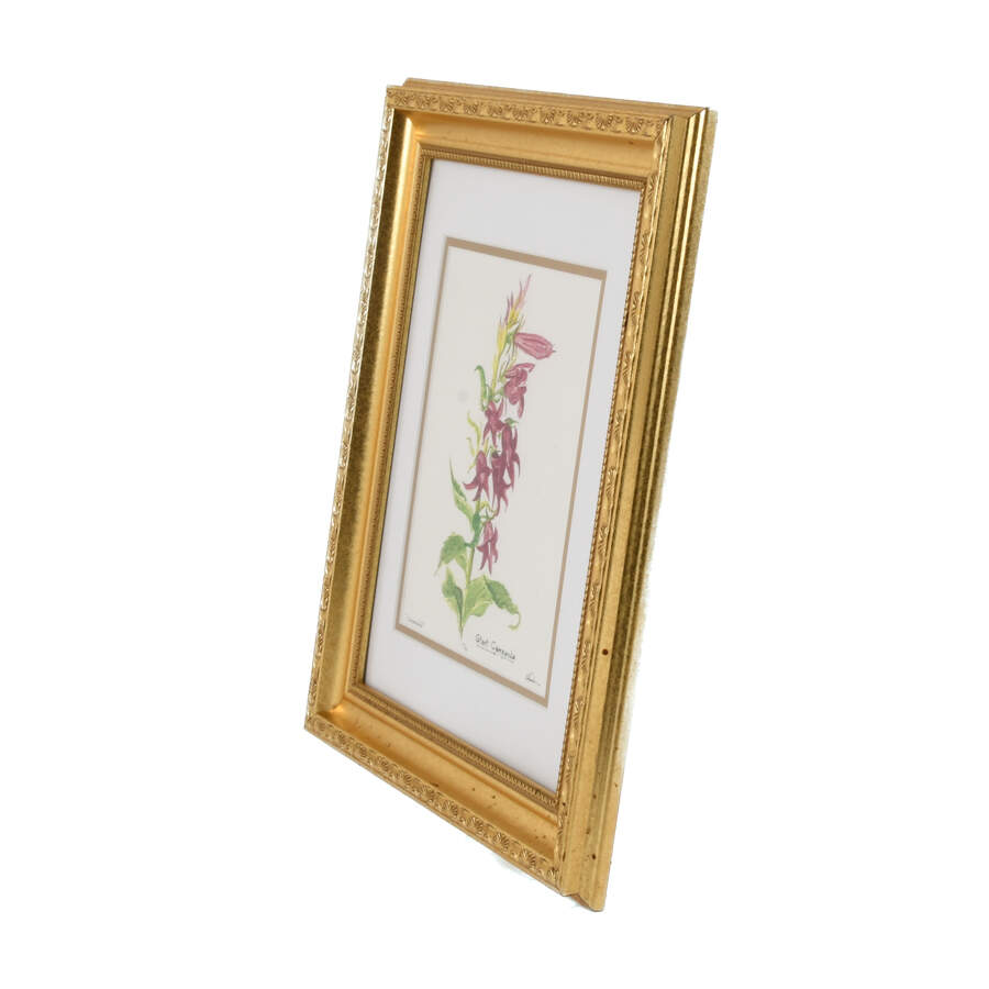 Framed S. Kent Watercolor Campanula Flower Limited Edition 4/50-5