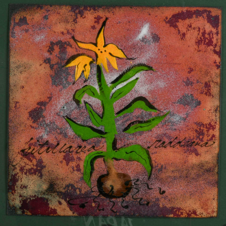 Yellow Fritillaria Raddeana Flower Enamel on Metal Signed Barbra Culp-5