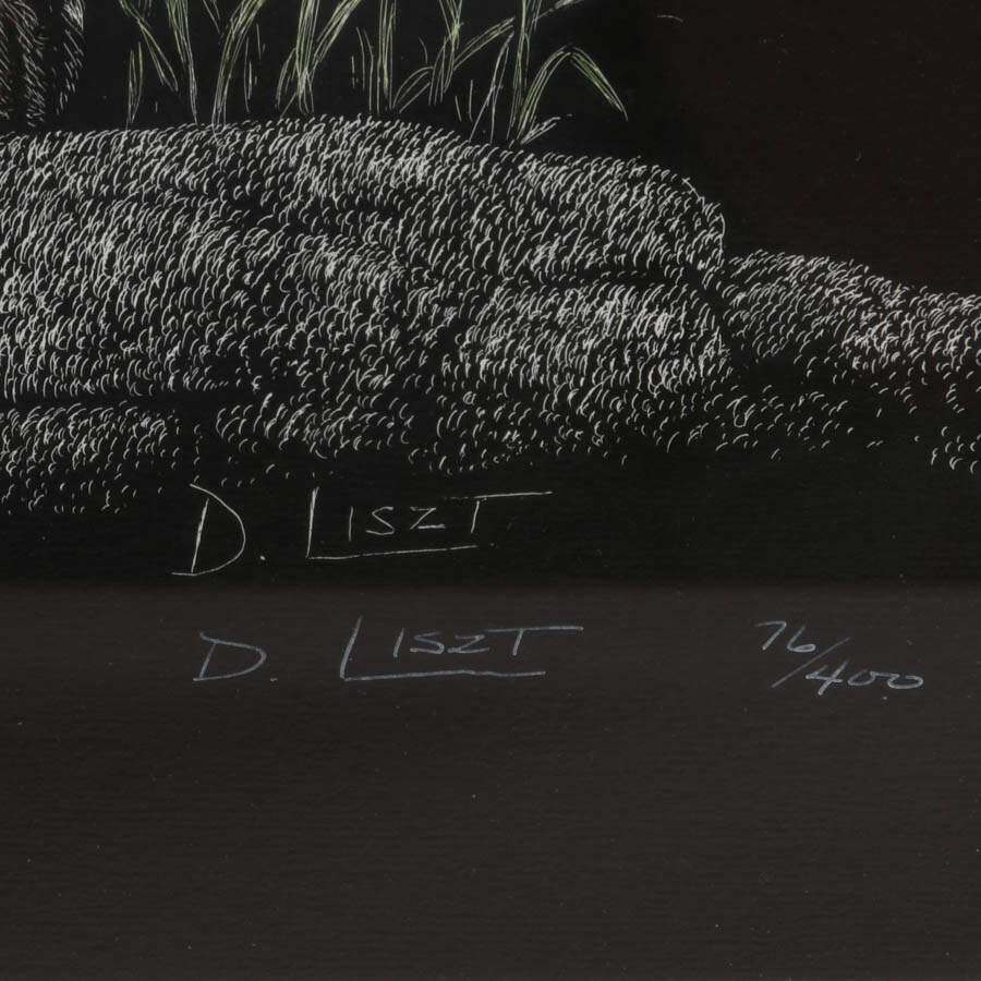 "Foxy Lady" Scratchboard Print Signed and Numbered 76/400 by Deborah Liszt-5