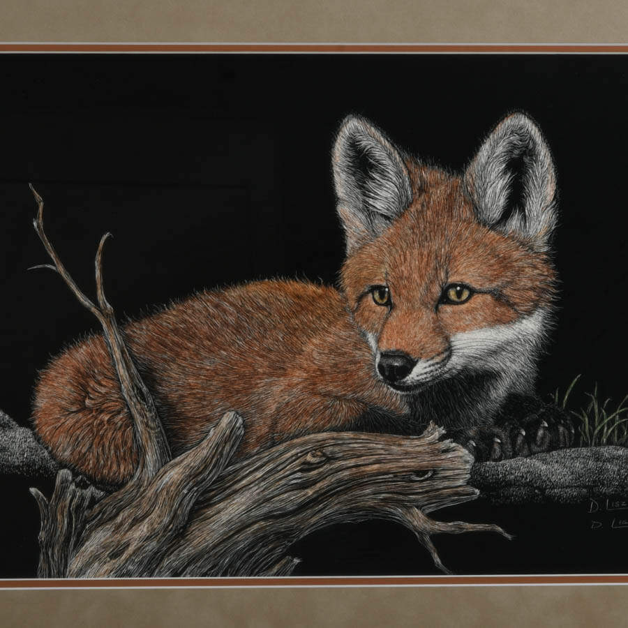 "Foxy Lady" Scratchboard Print Signed and Numbered 76/400 by Deborah Liszt-4