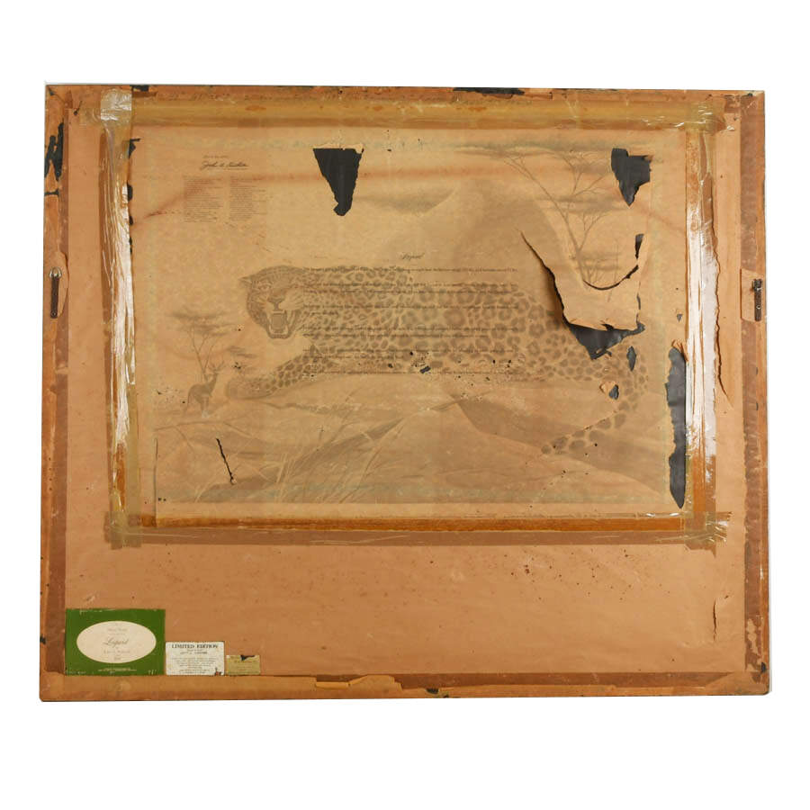 "Leopard" Lithograph on Paper Signed & Numbered 466/3500 by John A. Ruthven-8