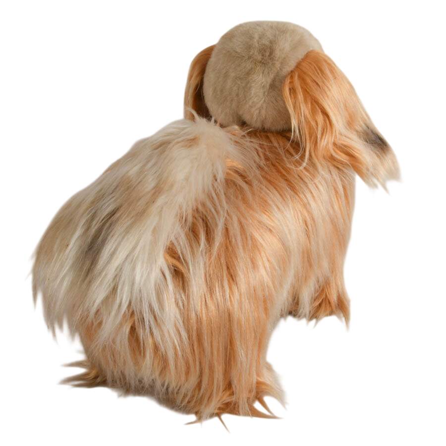 Mid-Century Steiff Studio Size Pekinese Store Model-6