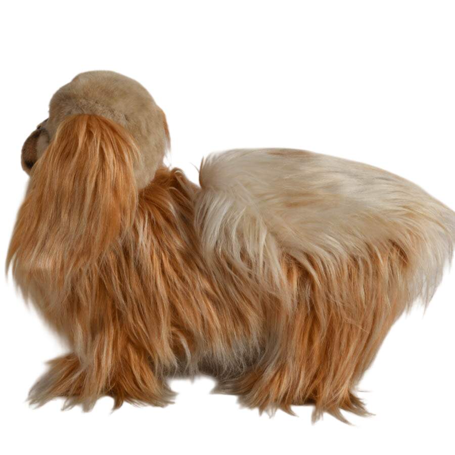 Mid-Century Steiff Studio Size Pekinese Store Model-5