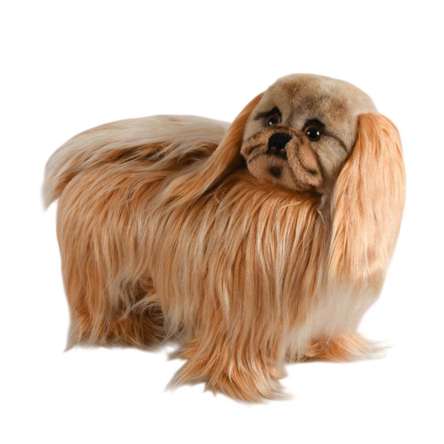 Mid-Century Steiff Studio Size Pekinese Store Model-2