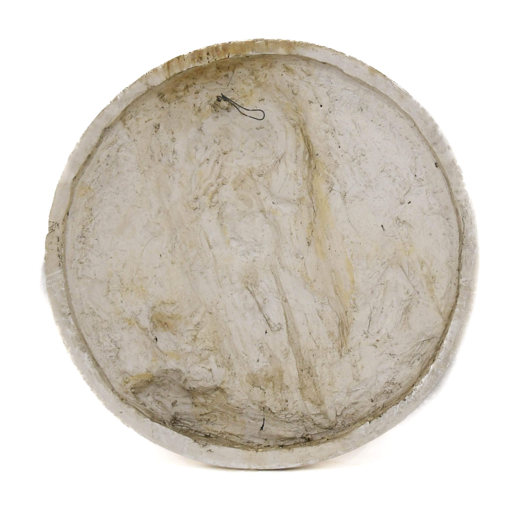 Antique Oversized Carved Roundel Plaster Relief of Galileo Galilei-4