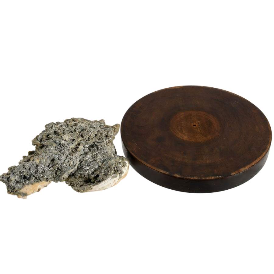 Ruck's Pit Fossilized Clams Specimen with Honey Calcite Crystals on Base-9