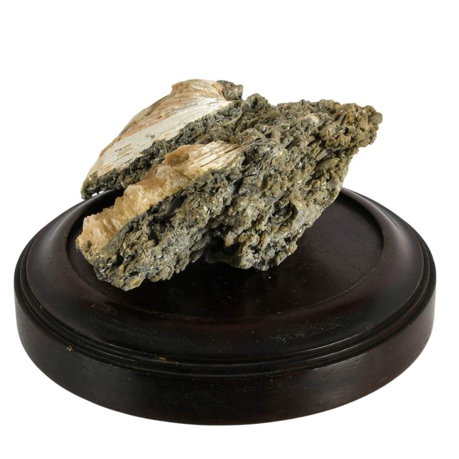 Ruck's Pit Fossilized Clams Specimen with Honey Calcite Crystals on Base-5