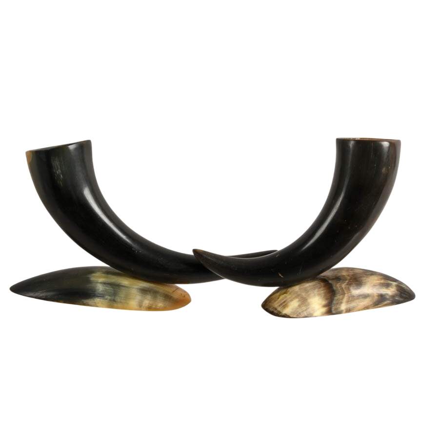 Pair of Carved Horn Vases on Bases-8