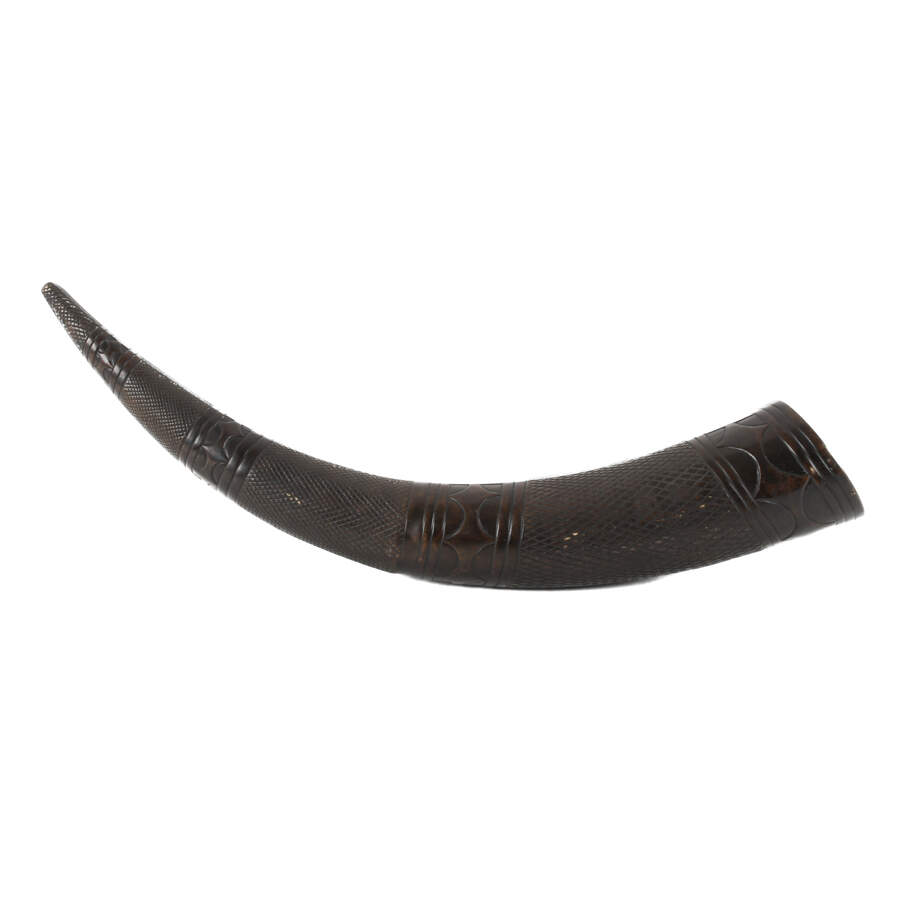 Bronze Horn-1
