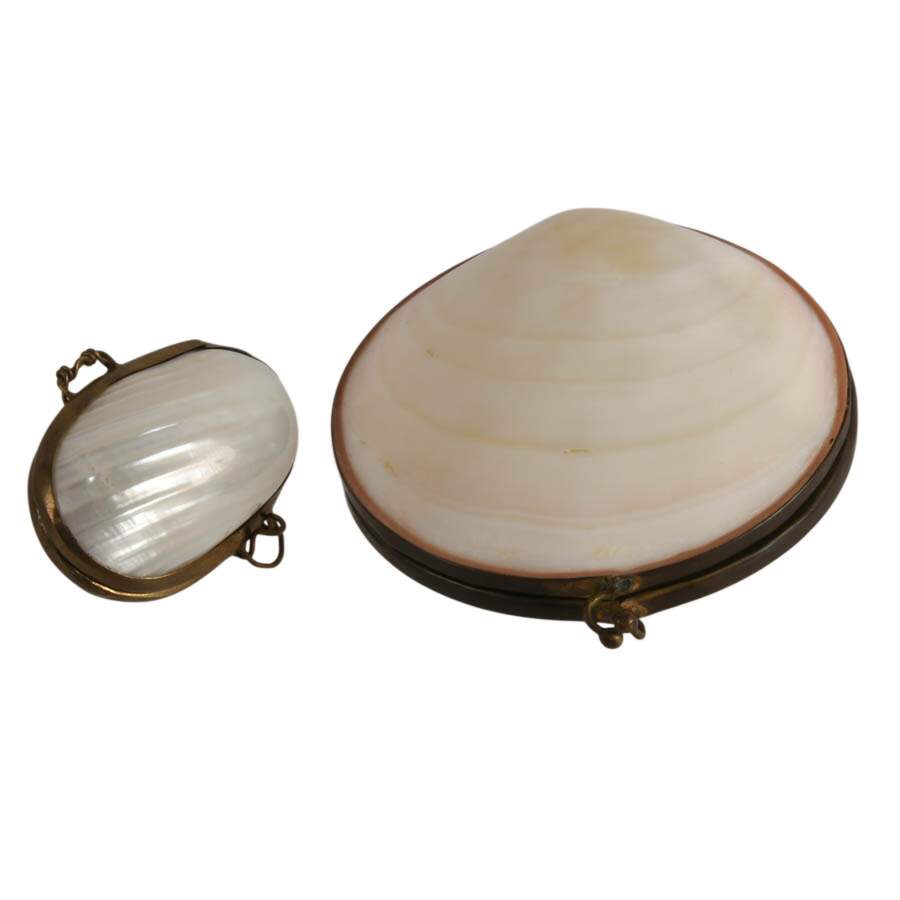 Pair of Tiger Clam and Mother of Pearl Shell Trinket Boxes-3