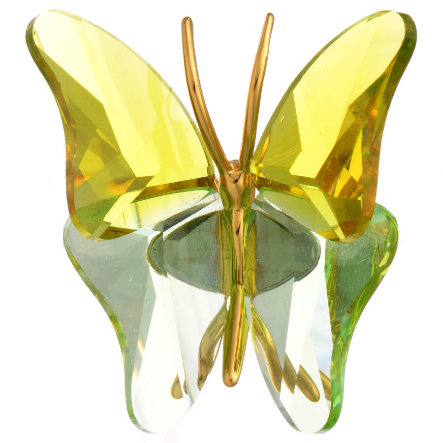 Insects & Butterflies-Crystal Paradise Abala-Chrysolite - Boxed by Swarovski-1