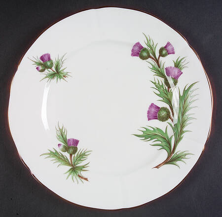 Thistle (Scalloped) by Adderley