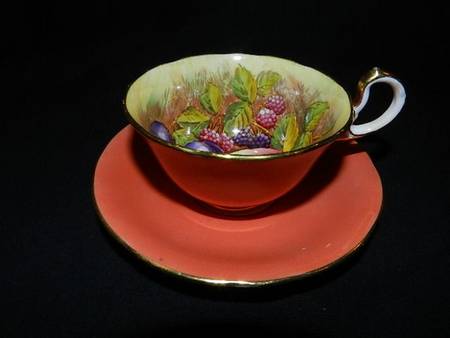 Fruit Coral by John  Aynsley & Sons