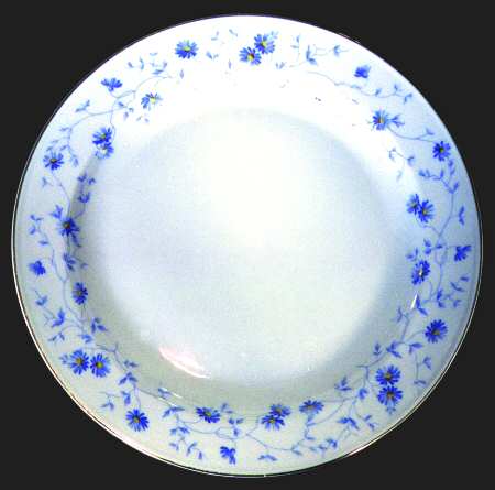 Blue Flowers (Gold Trim, Rim) by Arzberg