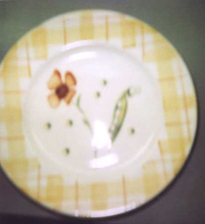 Summer Garden by Laura Ashley