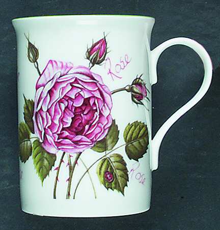 Rose by Laura Ashley