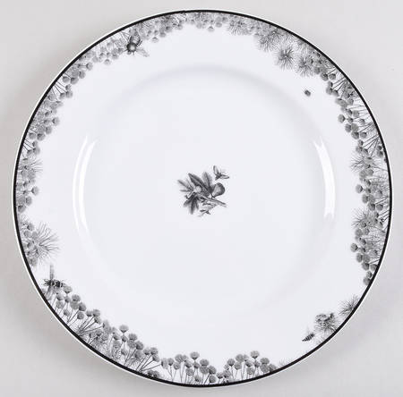 Curio by Anthropologie