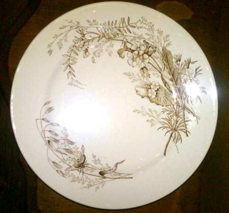 Victoria Brown by Ashworth Bros
