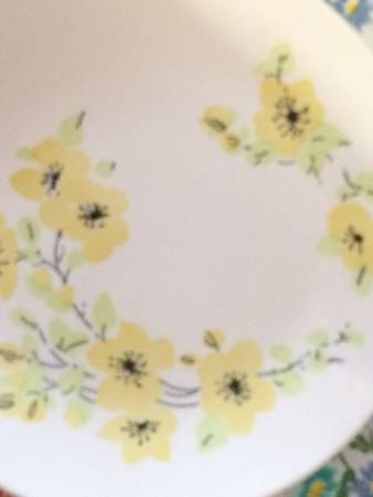 Dogwood by Anchor Hocking