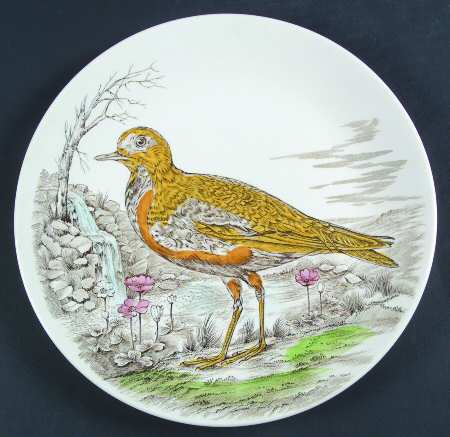 Wild Bird by British Anchor