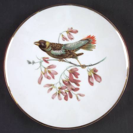 Debra (Birds) Smooth by Bavaria