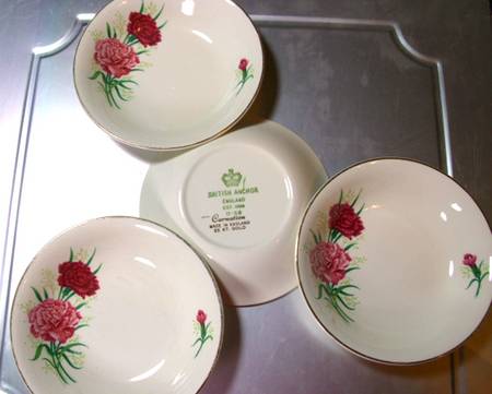 Carnation by British Anchor