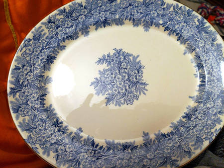 Hawthorn Blue by Burgess & Leigh