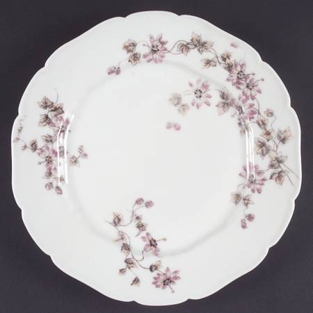 Schleiger 373 by Charles Field Haviland
