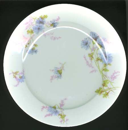 Schleiger 378 by Charles Field Haviland