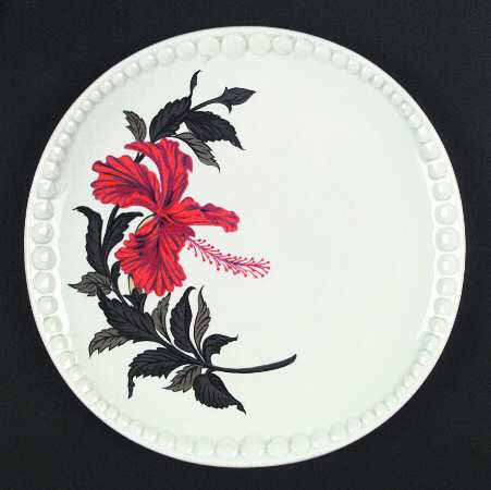 Hibiscus by Crooksville