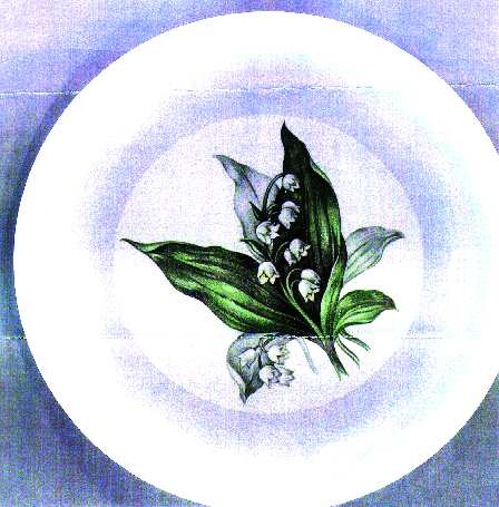CRP21 by Crown Potteries