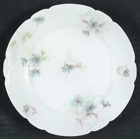 Schleiger 378j by Charles Field Haviland