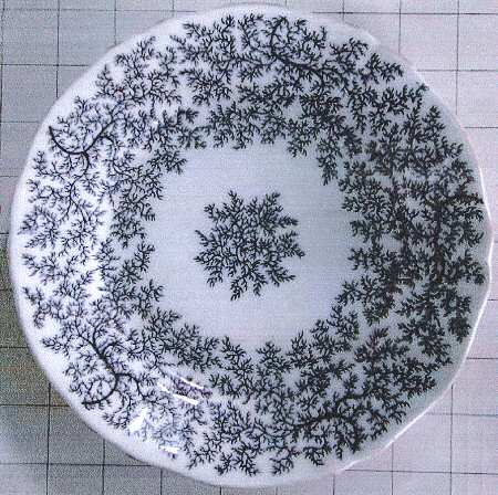 COA66 by Coalport