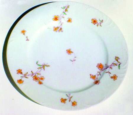 Schleiger 372-3 by Charles Field Haviland