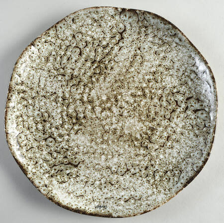 Toscana Brown (Funghi) by Casafina