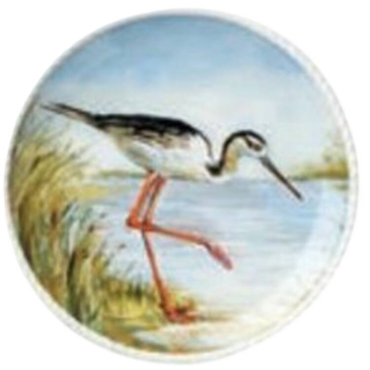 Coastal Birds by Certified International