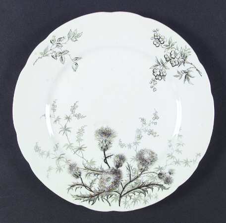 Thistle (Green Gray) by John Edwards