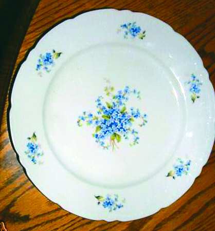 Forget Me Not by Europa