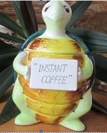 Swifty the Turtle by Enesco