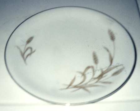 Modern Wheat by Fine China of Japan