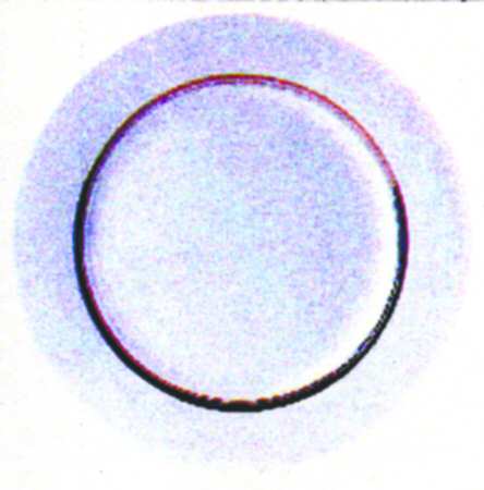Wedding Band Gold by Farberware