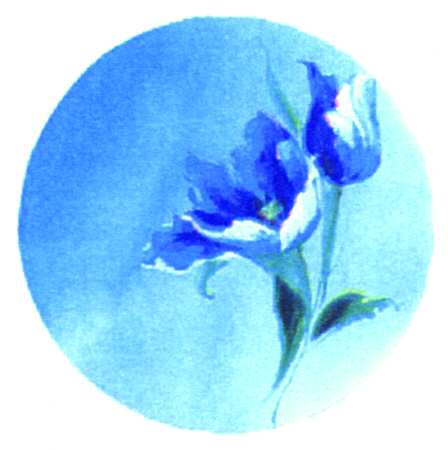 Biloxi Blue by Farberware