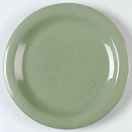 Color Sensations Sage by Gibson Designs